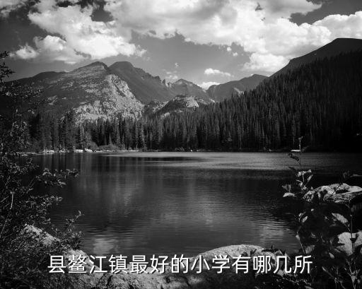 平陽(yáng)鰲江出港自動(dòng)化公司,鰲江港公司