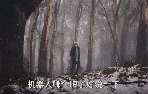 機(jī)器人哪個牌子好說一下