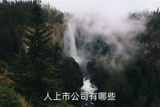 上海鴻河自動(dòng)化有限公司,鴻合實(shí)業(yè)有限公司