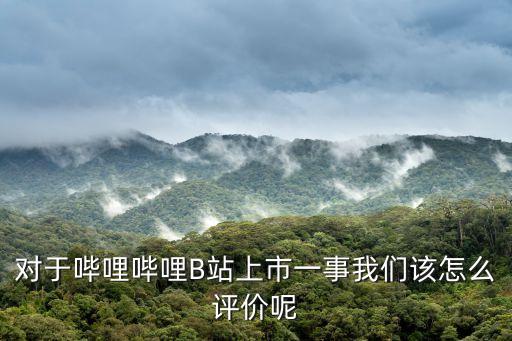 對于嗶哩嗶哩B站上市一事我們該怎么評價(jià)呢