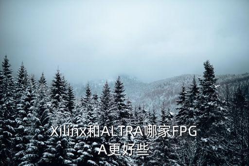 Xilinx和ALTRA哪家FPGA更好些