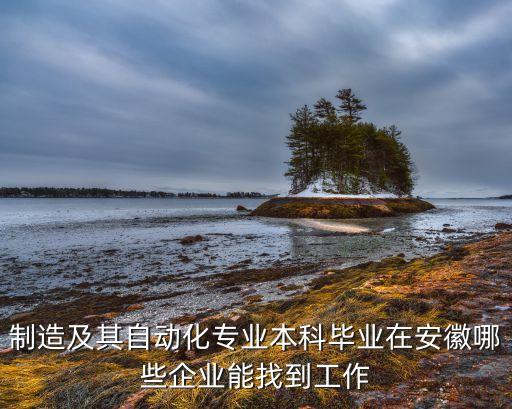 安徽機(jī)械自動化公司,機(jī)械自動化公司排名