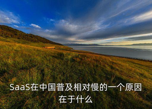 SaaS在中國(guó)普及相對(duì)慢的一個(gè)原因在于什么