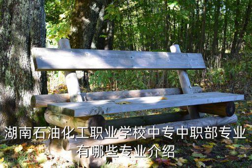 湖南石油化工職業(yè)學(xué)校中專中職部專業(yè)有哪些專業(yè)介紹