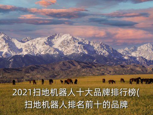 2021掃地機(jī)器人十大品牌排行榜(掃地機(jī)器人排名前十的品牌