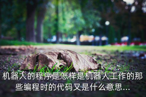 機(jī)器人的程序是怎樣是機(jī)器人工作的那些編程時(shí)的代碼又是什么意思...