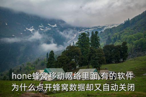 hone蜂窩移動網(wǎng)絡里面,有的軟件為什么點開蜂窩數(shù)據(jù)卻又自動關(guān)閉