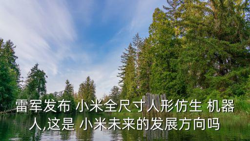 小米機器人多高