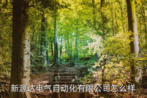 新源達(dá)電氣自動(dòng)化有限公司怎么樣