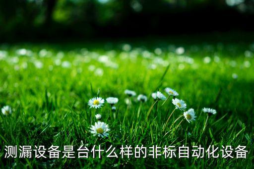 測漏設備是臺什么樣的非標自動化設備