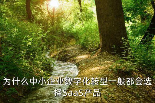 為什么中小企業(yè)數(shù)字化轉(zhuǎn)型一般都會(huì)選擇SaaS產(chǎn)品