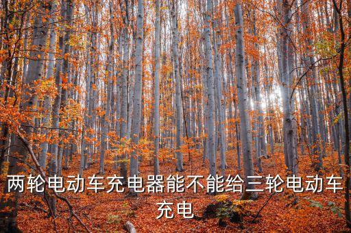 兩輪電動車充電器能不能給三輪電動車充電
