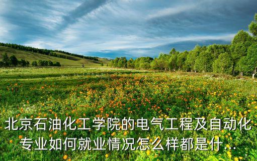 石化和電氣自動(dòng)化,電氣工程及其自動(dòng)化的就業(yè)前景及方向