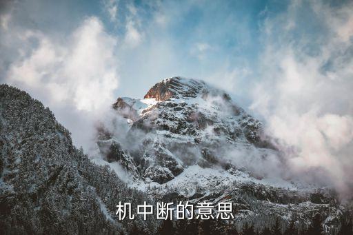 機(jī)中斷的意思