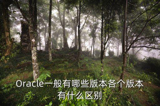 Oracle一般有哪些版本各個(gè)版本有什么區(qū)別