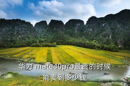 華為 mate40pro最貴的時候能賣到多少錢