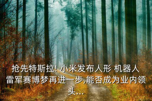 搶先特斯拉! 小米發(fā)布人形 機器人雷軍賽博夢再進一步,能否成為業(yè)內(nèi)領(lǐng)頭...