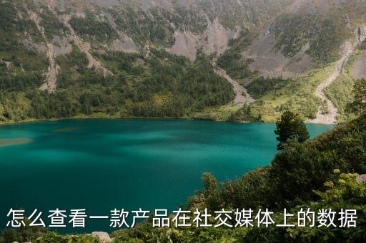 怎么查看一款產(chǎn)品在社交媒體上的數(shù)據(jù)