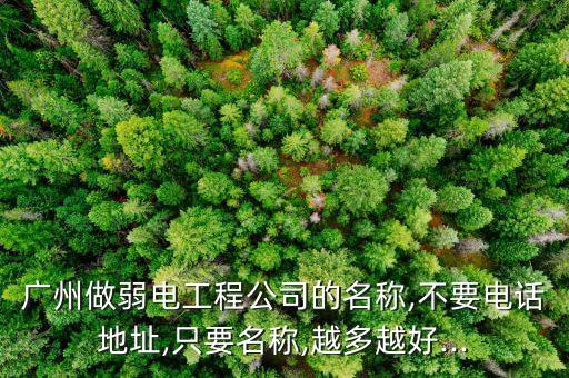 廣州做弱電工程公司的名稱,不要電話地址,只要名稱,越多越好...