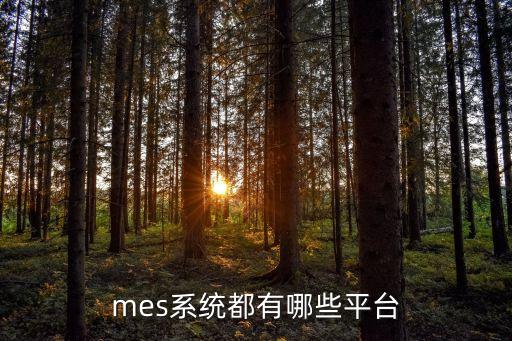 mes系統(tǒng)都有哪些平臺