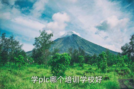 工業(yè)設(shè)備自動化編程,專業(yè)介紹工業(yè)自動化系統(tǒng)有哪些設(shè)備?