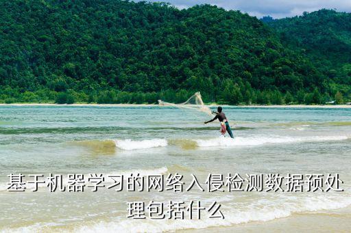 基于機器學(xué)習(xí)的網(wǎng)絡(luò)入侵檢測數(shù)據(jù)預(yù)處理包括什么
