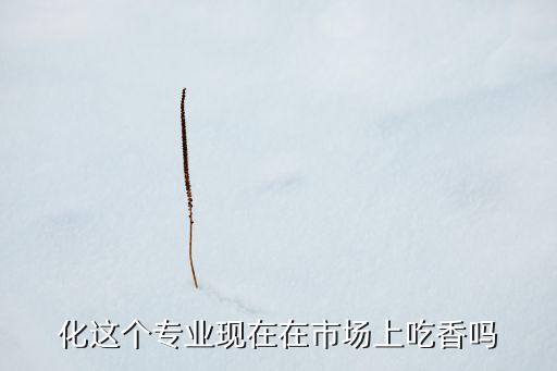 化這個專業(yè)現(xiàn)在在市場上吃香嗎