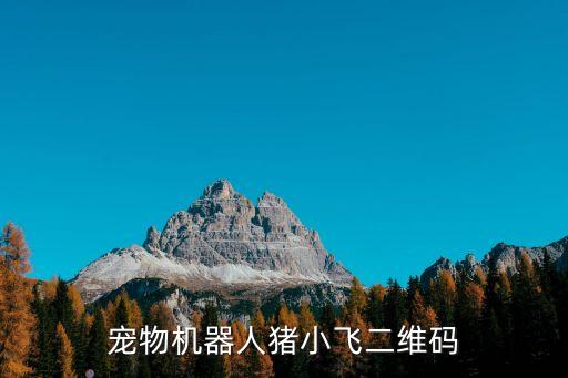 智能機(jī)器人寵物版,桌面智能機(jī)器人寵物