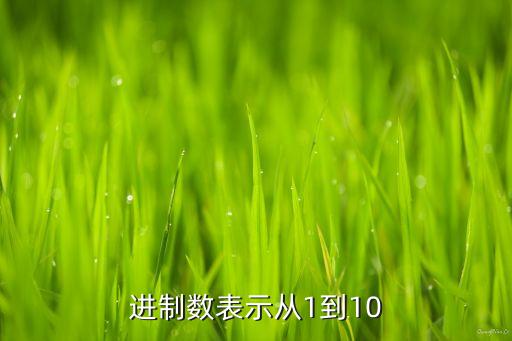 進制數(shù)表示從1到10