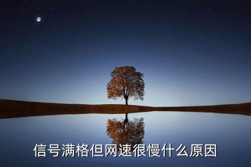 信號滿格但網(wǎng)速很慢什么原因