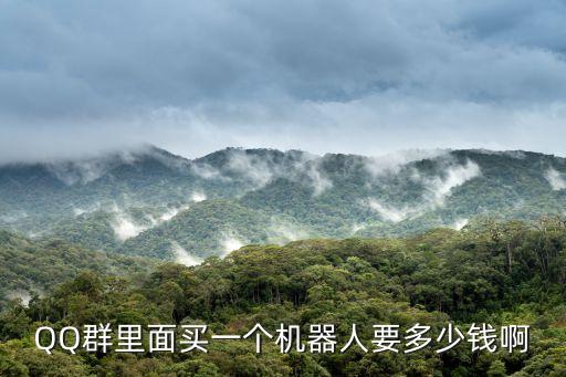 酷機器人ca999,酷酷機器人怎么樣?