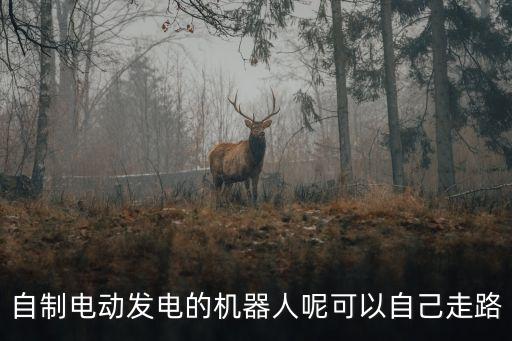 自制電動發(fā)電的機(jī)器人呢可以自己走路
