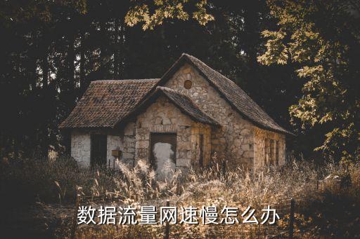 數(shù)據(jù)流量網(wǎng)速慢怎么辦