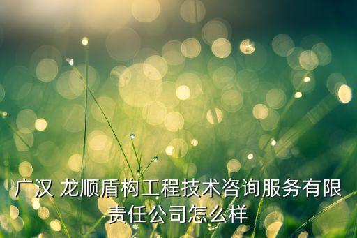 廣漢 龍順盾構(gòu)工程技術(shù)咨詢服務(wù)有限責(zé)任公司怎么樣