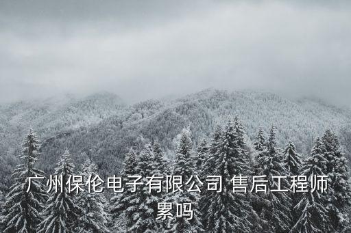  廣州保倫電子有限公司 售后工程師累嗎