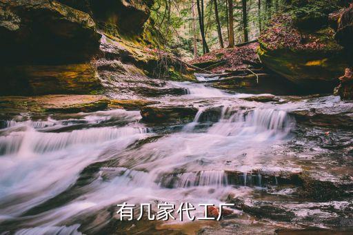 有幾家代工廠