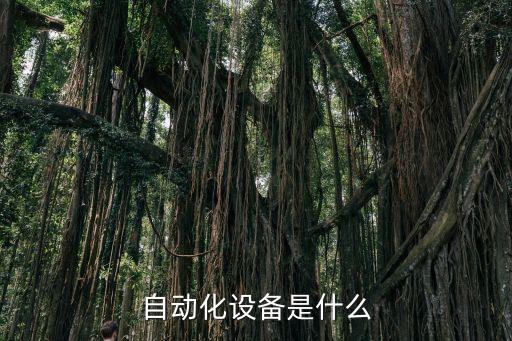 遼寧ccd自動(dòng)化檢測設(shè)備定制,小型ccd自動(dòng)檢測設(shè)備