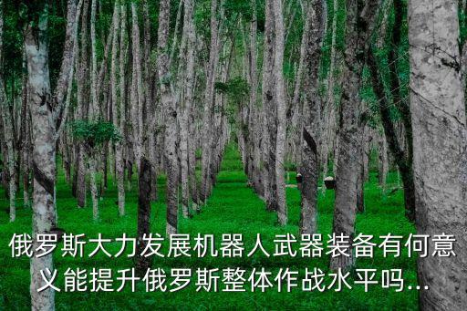 發(fā)展機(jī)器人意義,俄羅斯發(fā)展機(jī)器人武器裝備有何意義?