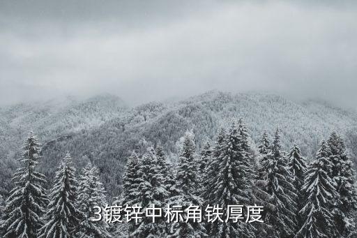 3鍍鋅中標(biāo)角鐵厚度