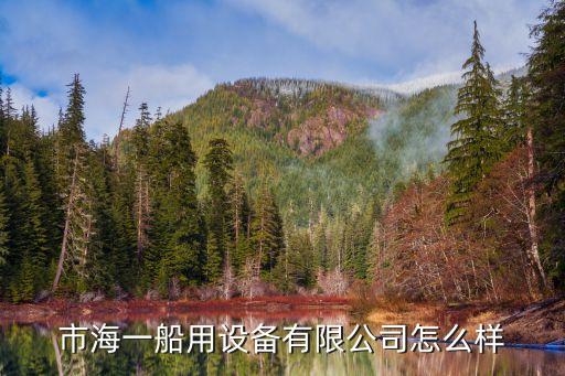 自動化東臺公司,東臺富樂華半導體公司怎么樣?