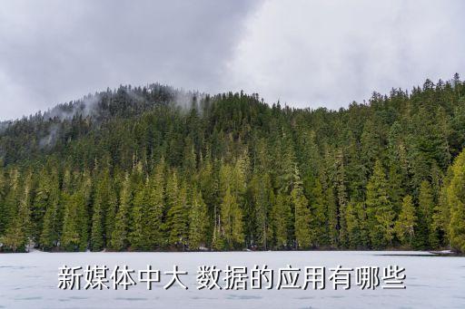 大數(shù)據(jù)傳媒是做什么的