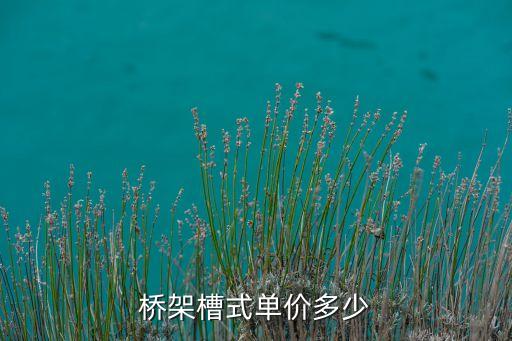 橋架槽式單價(jià)多少