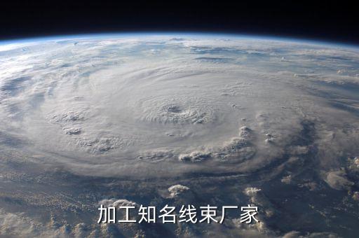 加工知名線束廠家