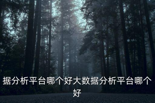 據(jù)分析平臺哪個好大數(shù)據(jù)分析平臺哪個好