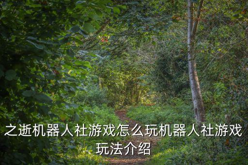 強化機器人牧師,牧師的強化盾
