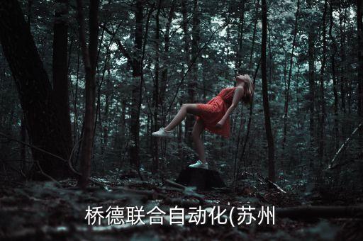 橋德聯(lián)合自動化(蘇州