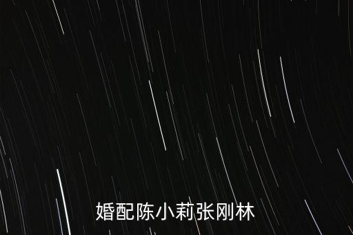 陳小莉,布拖國(guó)際投資公司陳小莉