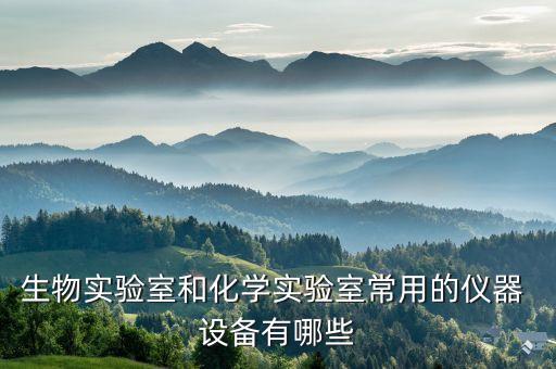 生物實(shí)驗(yàn)室和化學(xué)實(shí)驗(yàn)室常用的儀器 設(shè)備有哪些