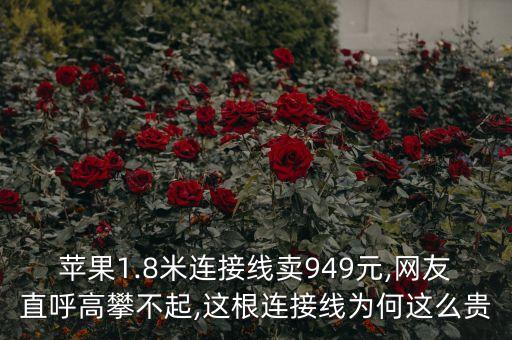 蘋果1.8米連接線賣949元,網(wǎng)友直呼高攀不起,這根連接線為何這么貴