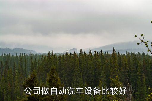 公司做自動(dòng)洗車設(shè)備比較好